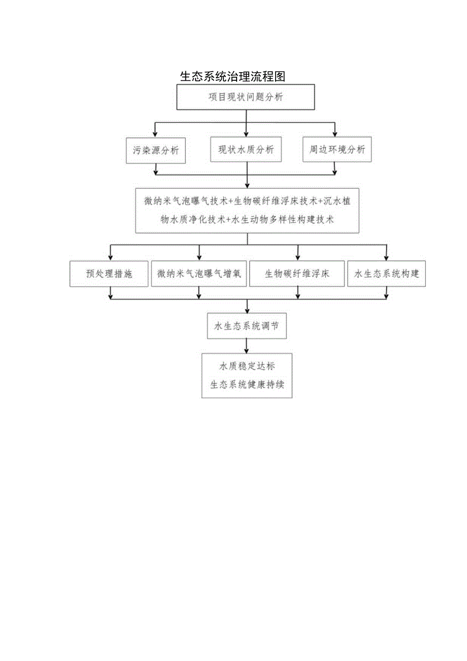 生态系统治理流程图.docx_第1页