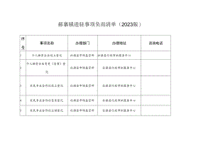 郝寨镇进驻事项负面清单2023版.docx