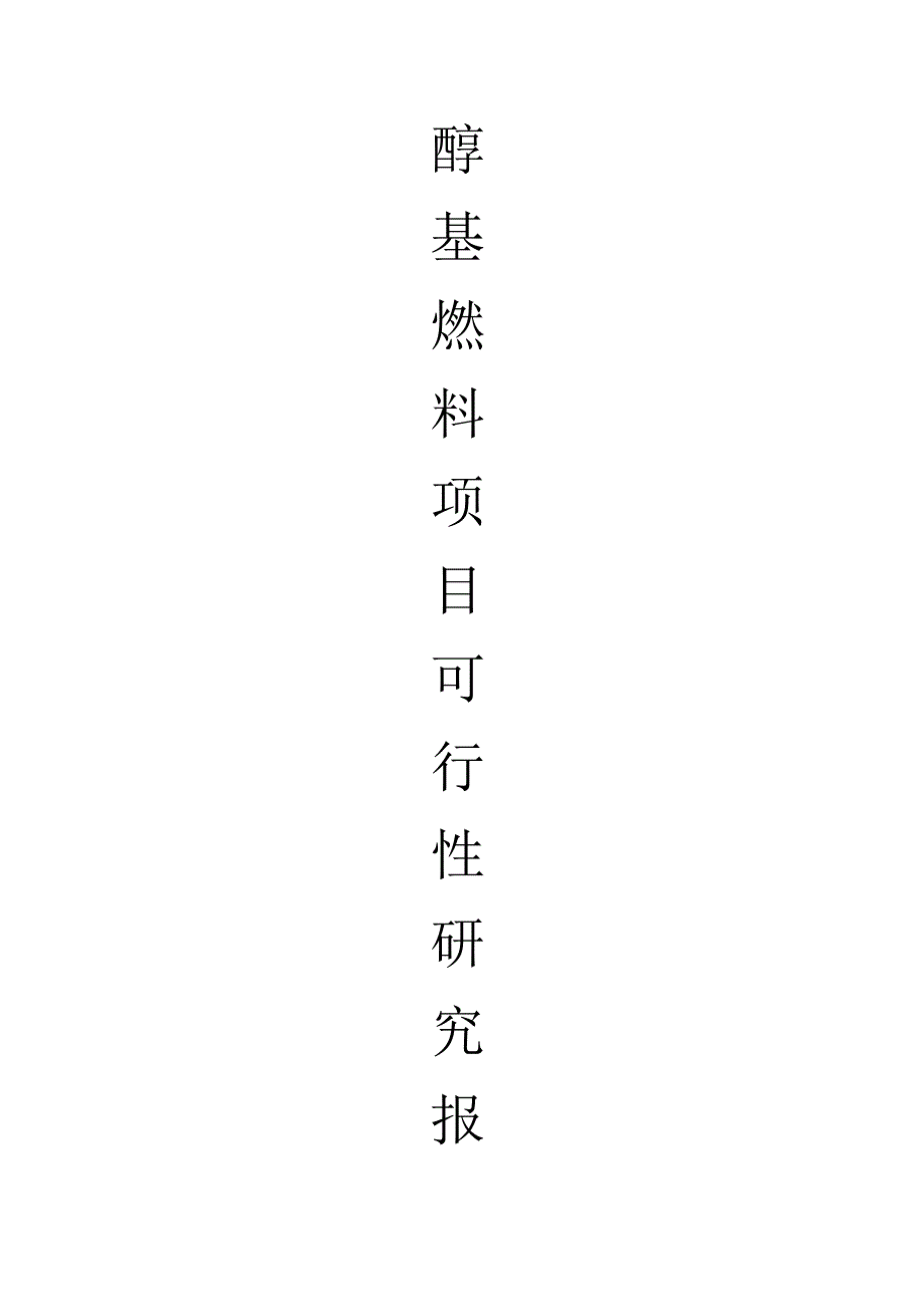 醇基燃料项目可行性报告-公司.docx_第1页