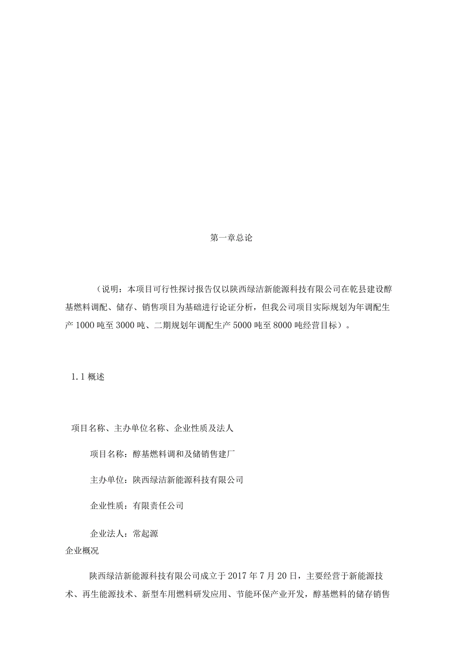 醇基燃料项目可行性报告-公司.docx_第2页