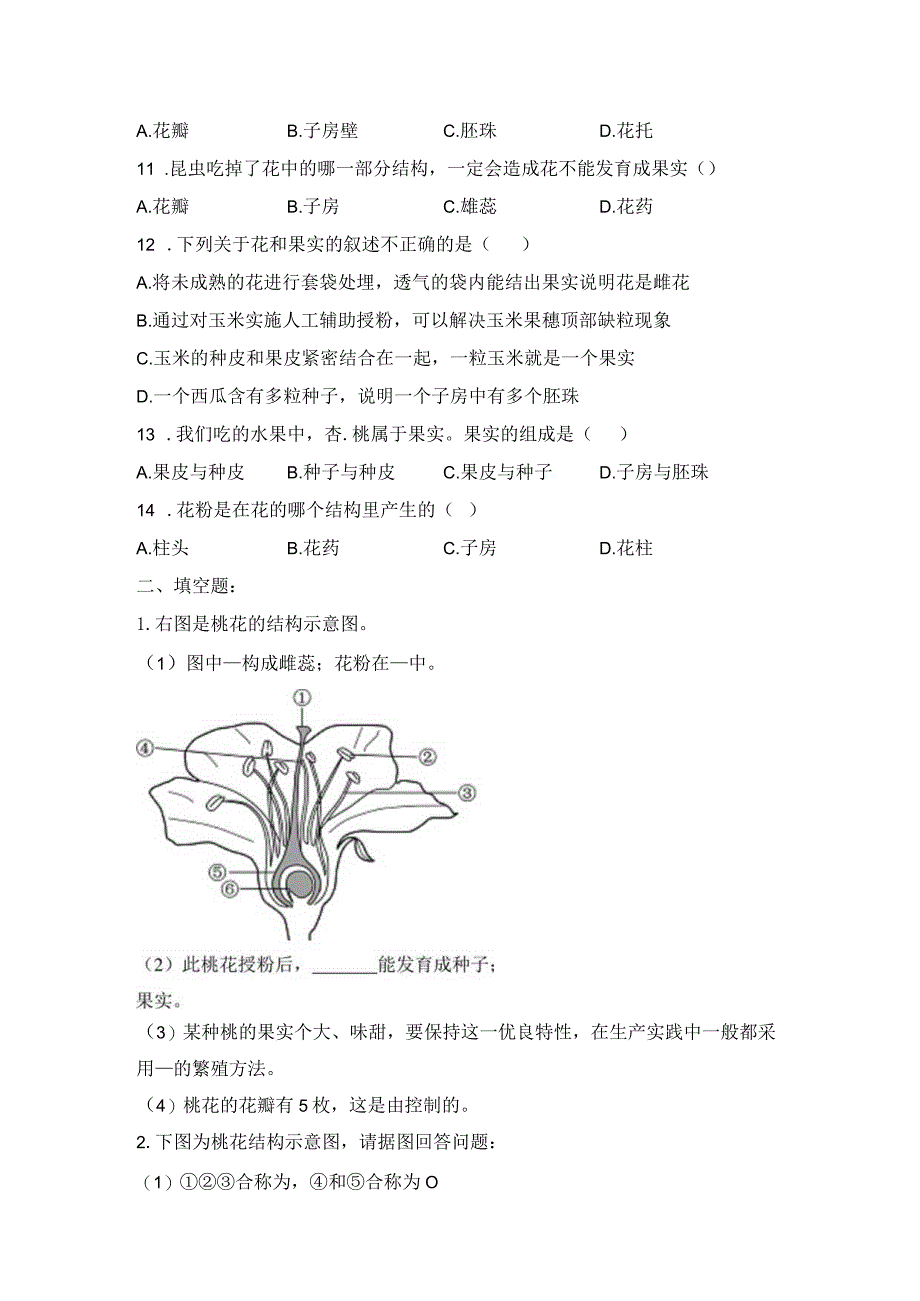 第3节生殖器官的生长.docx_第2页