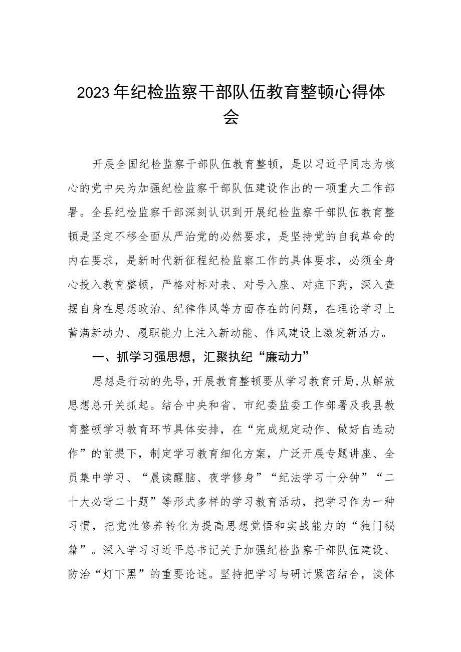 2023年纪检监察干部队伍教育整顿活动学习体会最新精品6篇.docx_第1页