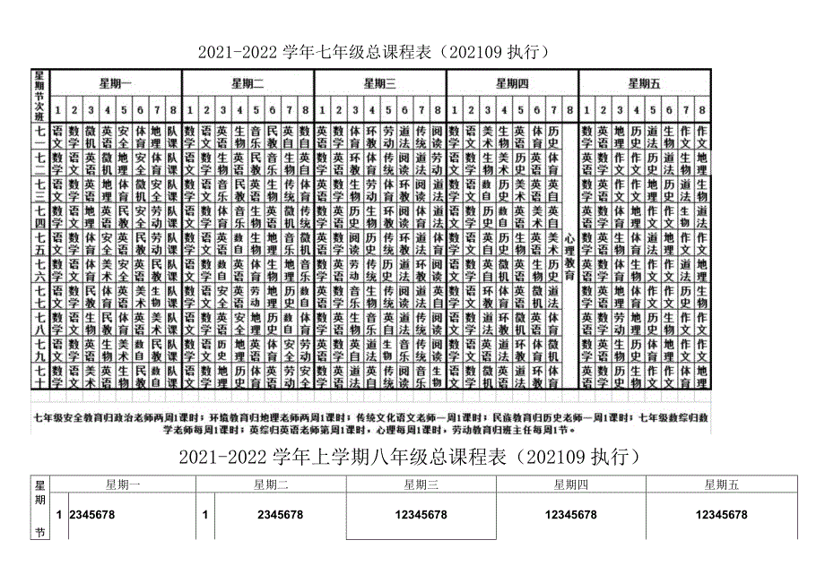 蒋官屯中学课程设置.docx_第3页