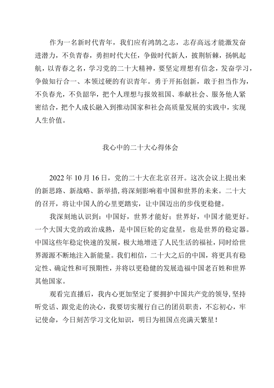 我心中的二十大心得体会精选范文4篇.docx_第2页