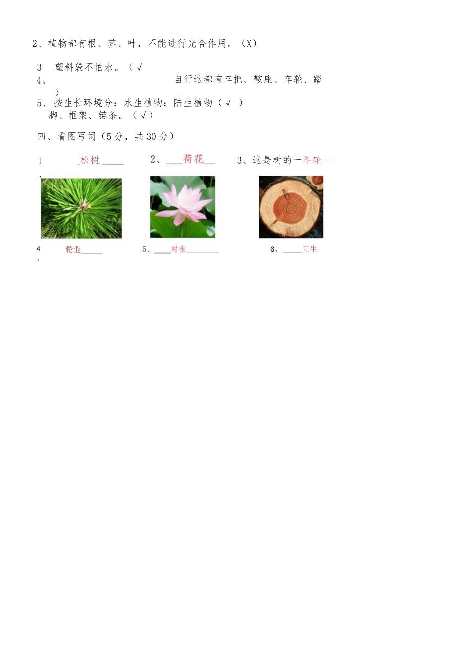 二年级下册科学期末试题质量检测 1819 通用版.docx_第2页