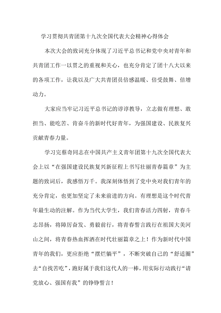 青年干部学习贯彻共青团第十九次全国代表大会精神心得体会 合计4份.docx_第1页