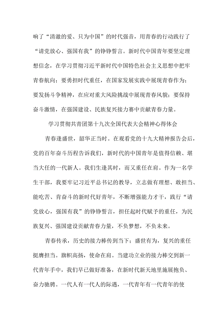 青年干部学习贯彻共青团第十九次全国代表大会精神心得体会 合计4份.docx_第3页