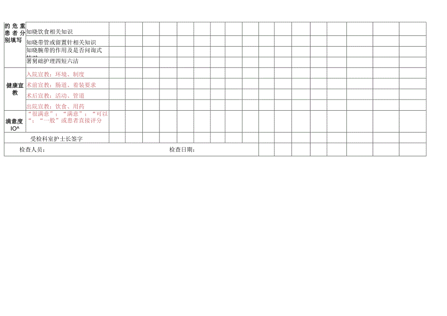 责护检查表.docx_第2页