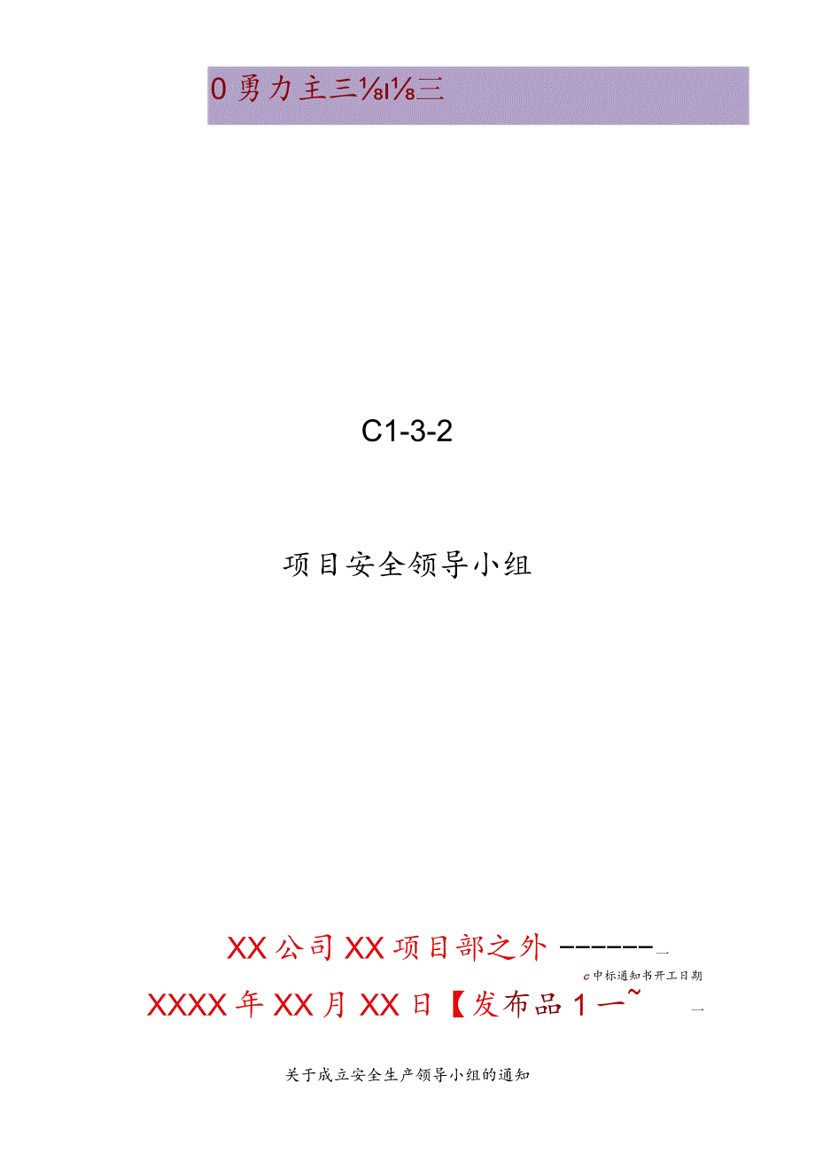 项目安全领导小组.docx_第1页