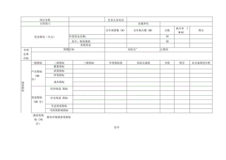 项目绩效自评表.docx_第2页