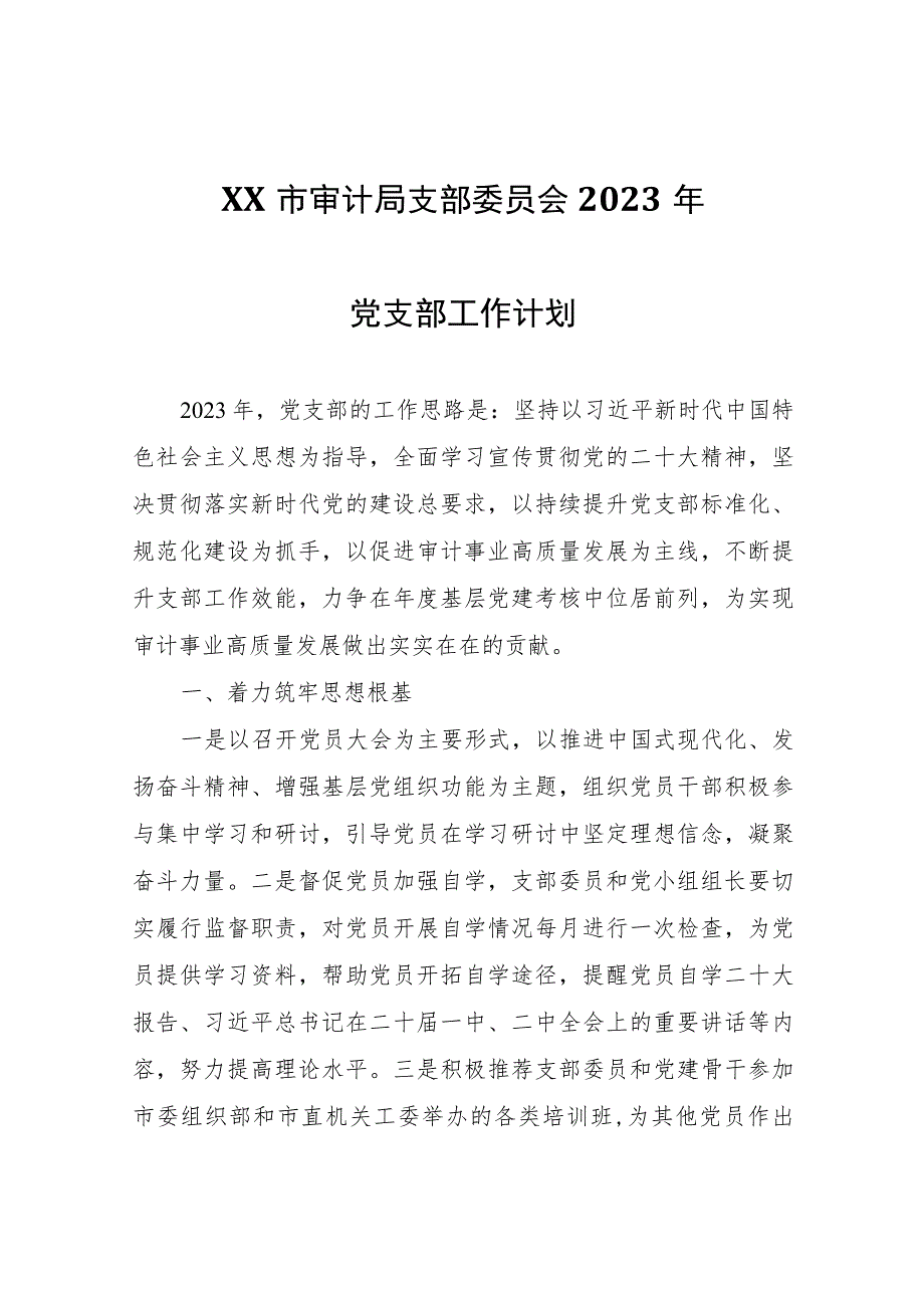 XX市审计局支部委员会2023年党支部工作计划.docx_第1页