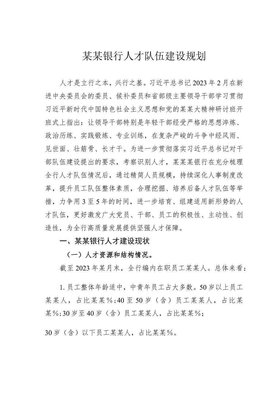 某某银行人才队伍建设规划.docx_第1页