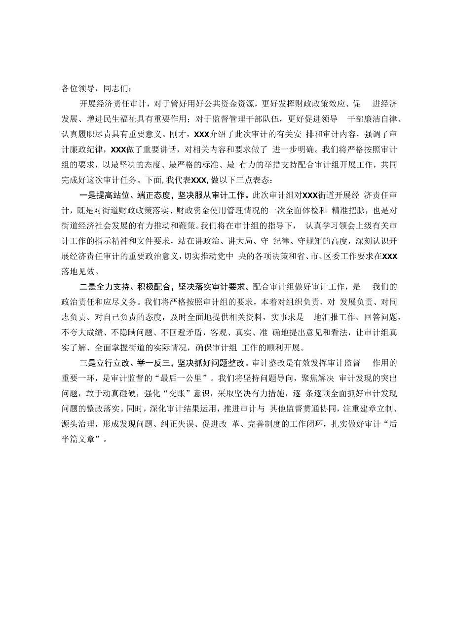 在经济责任审计动员会议上的表态发言.docx_第1页