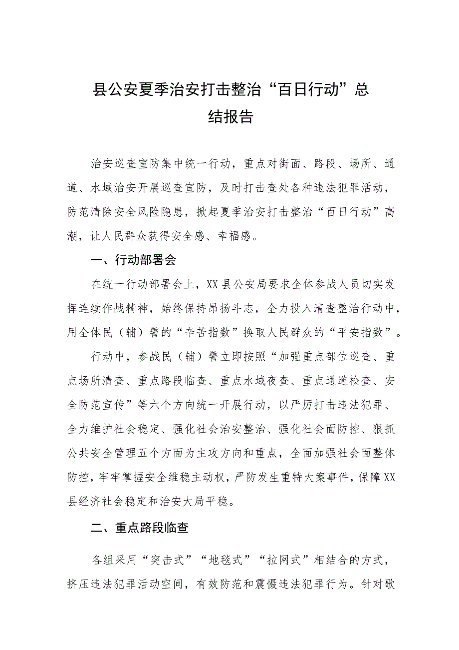 铁路派出所进夏季治安打击整治“百日行动”总结汇报6篇.docx_第1页