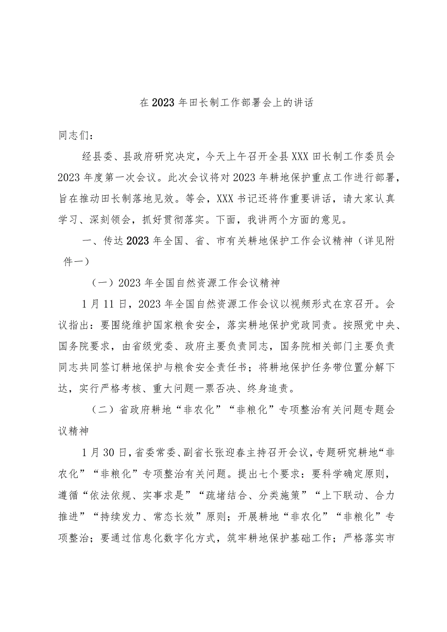 在2023年田长制工作部署会上的讲话.docx_第1页