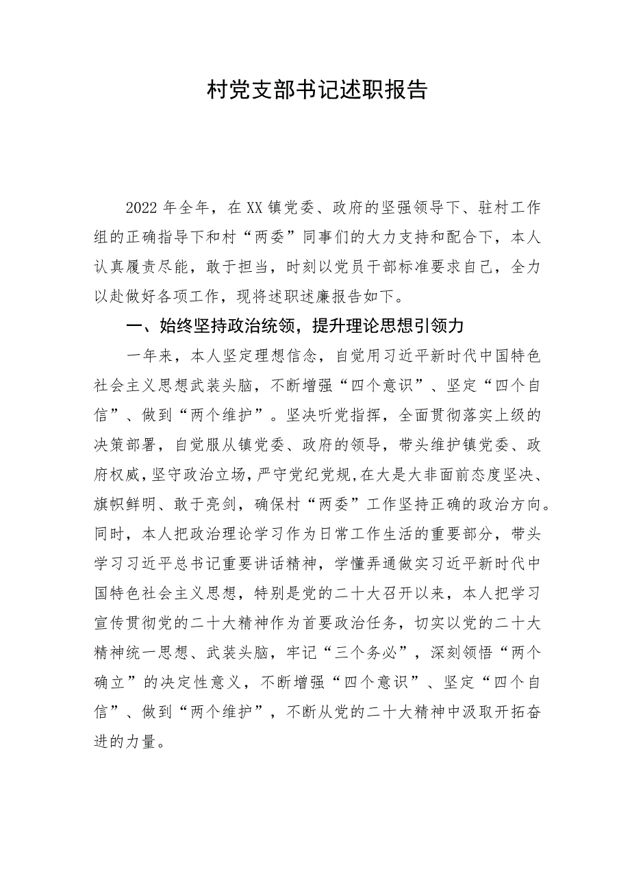 村党支部书记述职报告.docx_第1页