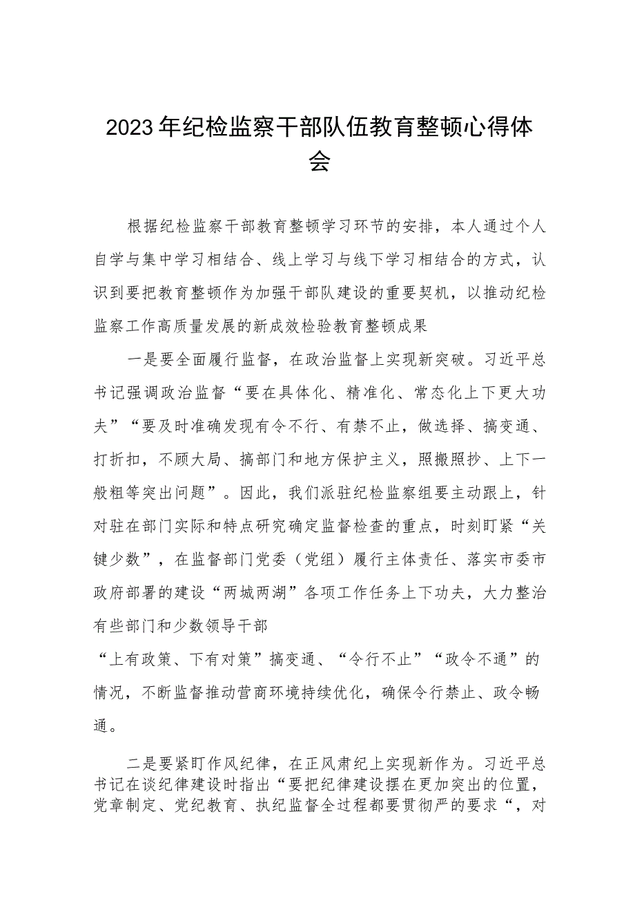 2023年纪检监察干部队伍教育整顿心得体会研讨发言材料十篇.docx_第1页