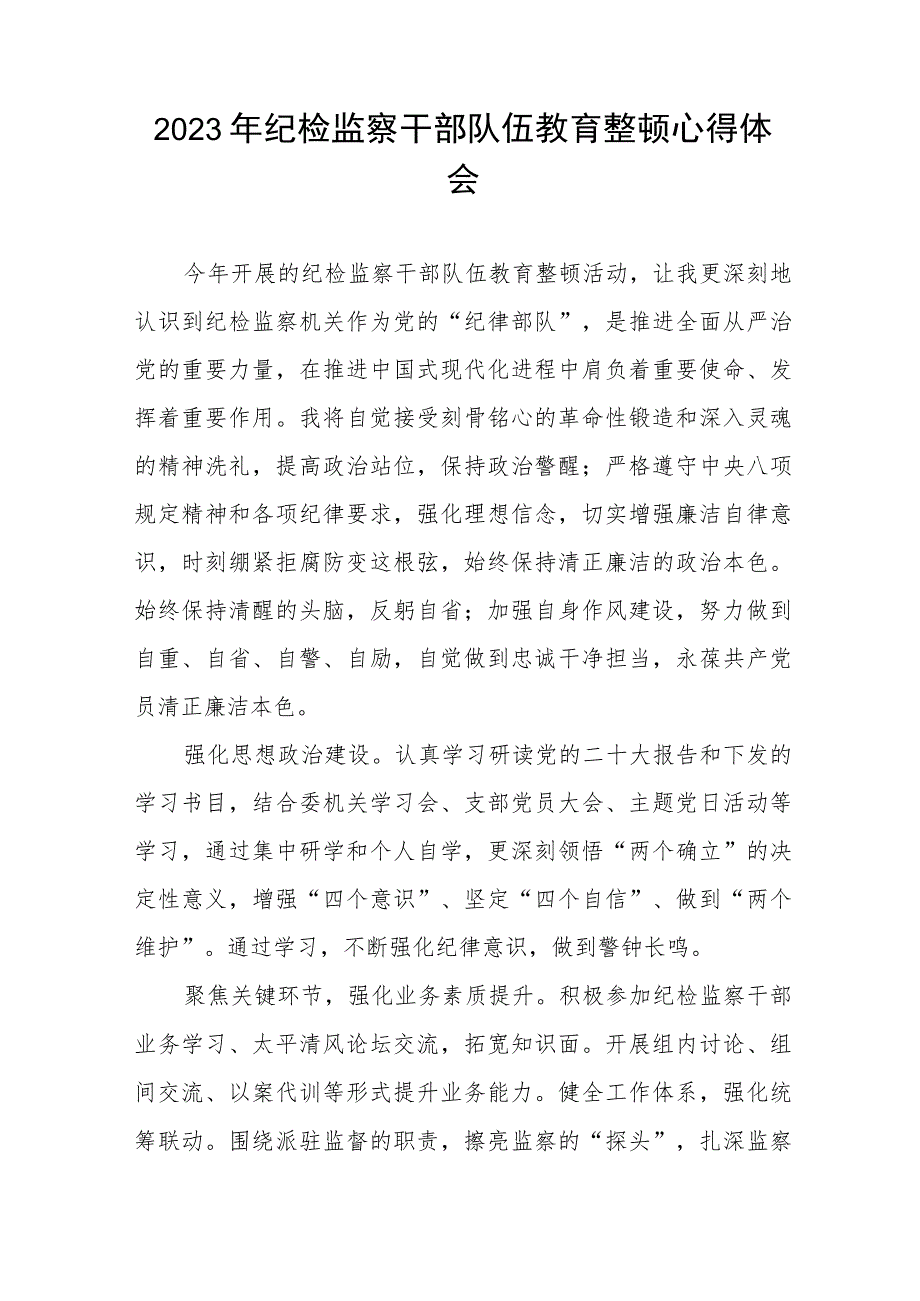 2023年纪检监察干部队伍教育整顿心得体会研讨发言材料十篇.docx_第3页