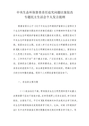 中央生态环保督查责任追究问题以案促改专题民主生活会个人发言提纲.docx