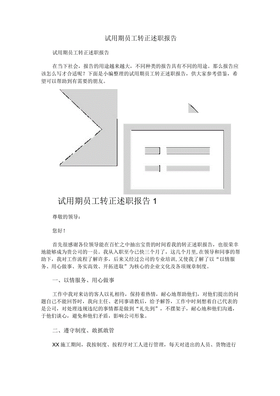 试用期员工转正述职报告.docx_第1页