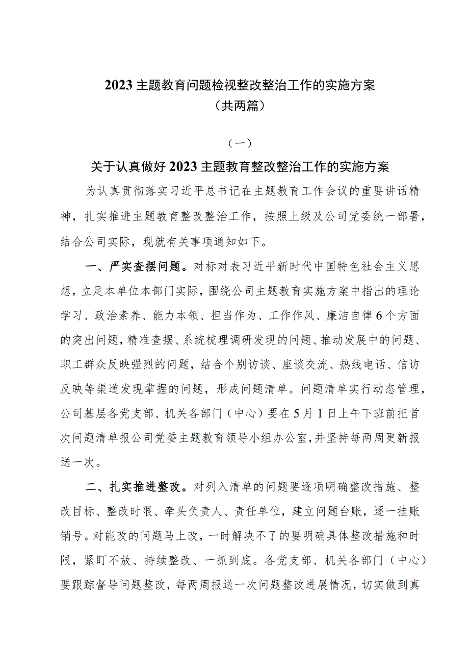 2023主题教育问题检视整改整治工作的实施方案两篇.docx_第1页