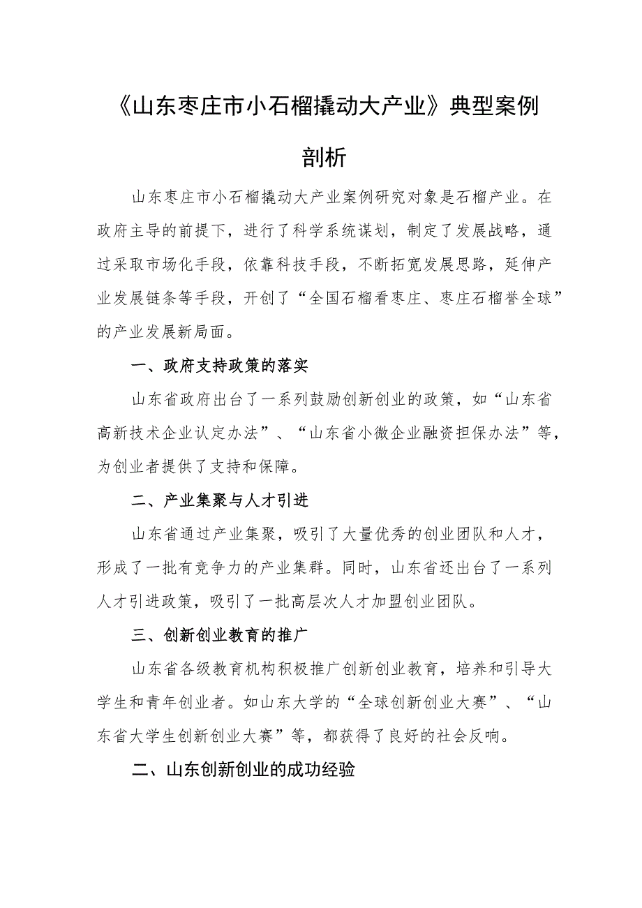 《山东枣庄市小石榴撬动大产业》典型案例剖析.docx_第1页