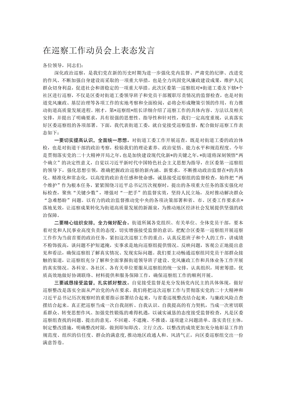 在巡察工作动员会上表态发言.docx_第1页