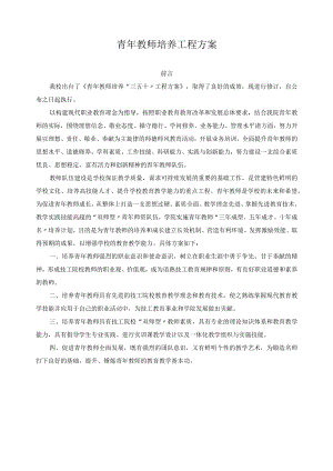 青年教师培养工程方案.docx