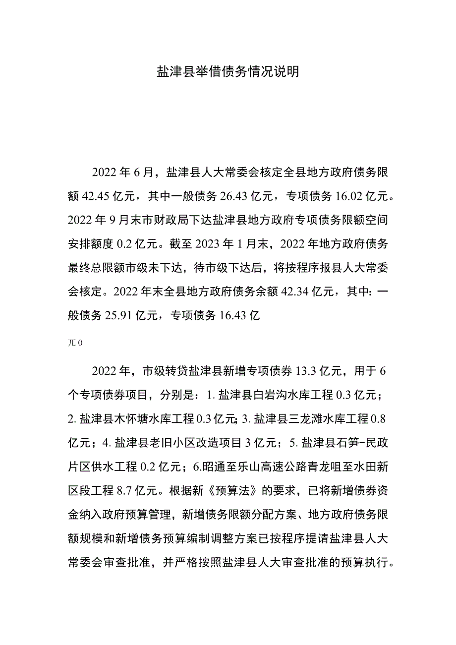 盐津县举借债务情况说明.docx_第1页