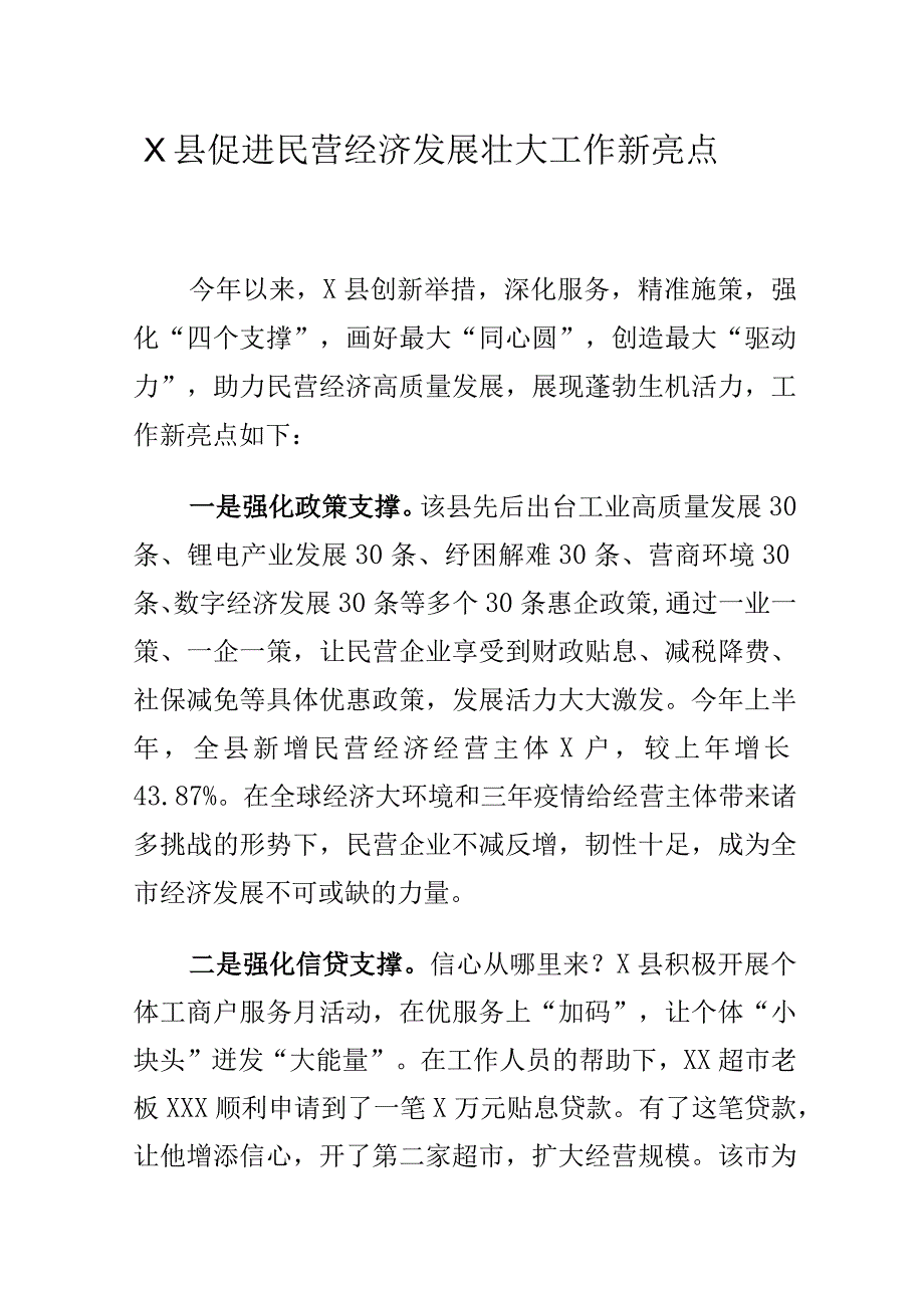 X县促进民营经济发展壮大工作新亮点.docx_第1页