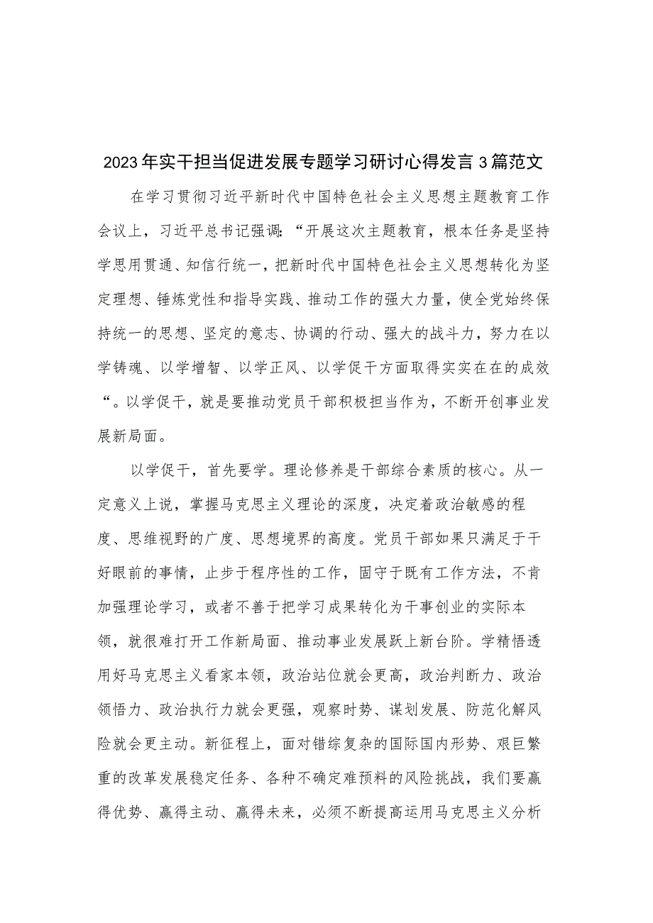 2023年实干担当促进发展专题学习研讨心得发言3篇范文.docx_第1页