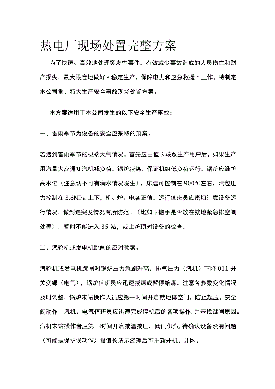 热电厂现场处置完整方案.docx_第1页