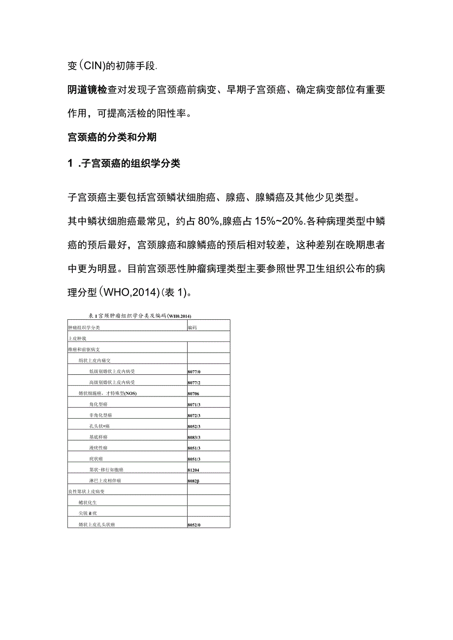 2023宫颈癌的基本介绍、分类分期.docx_第2页