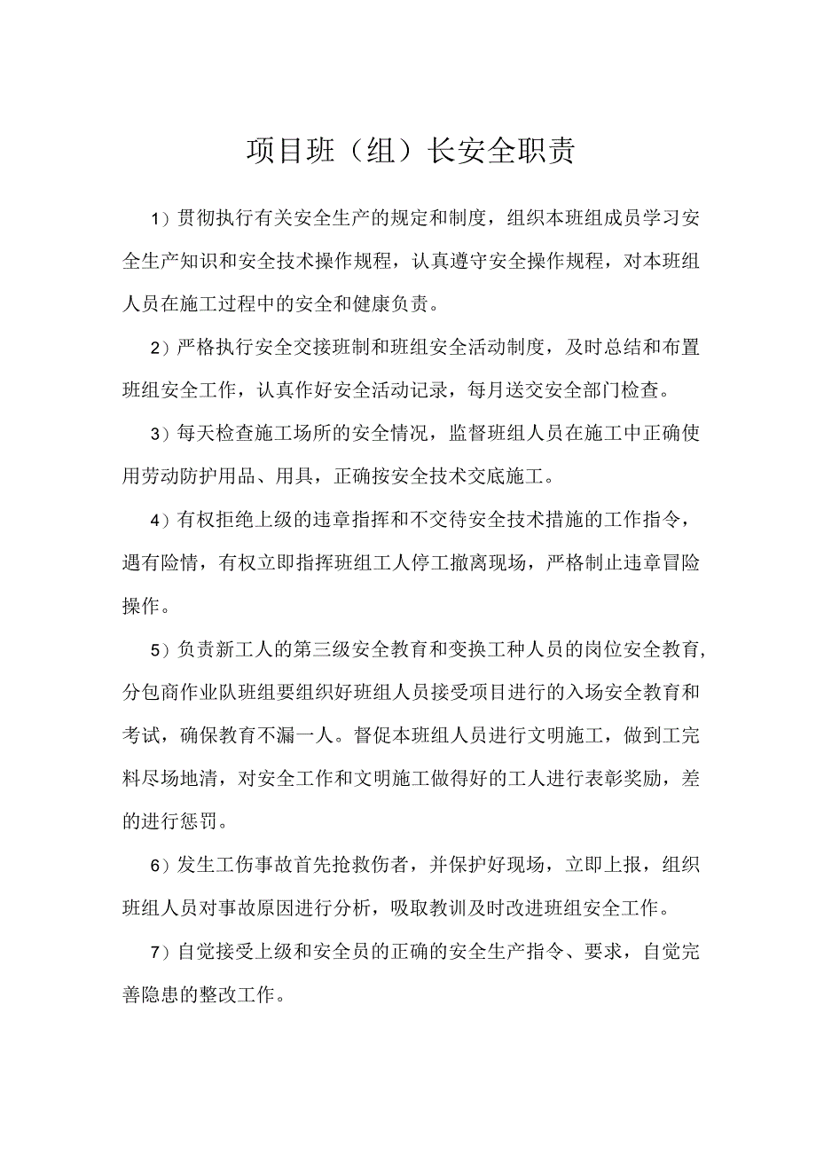 项目班(组)长安全职责模板范本.docx_第1页