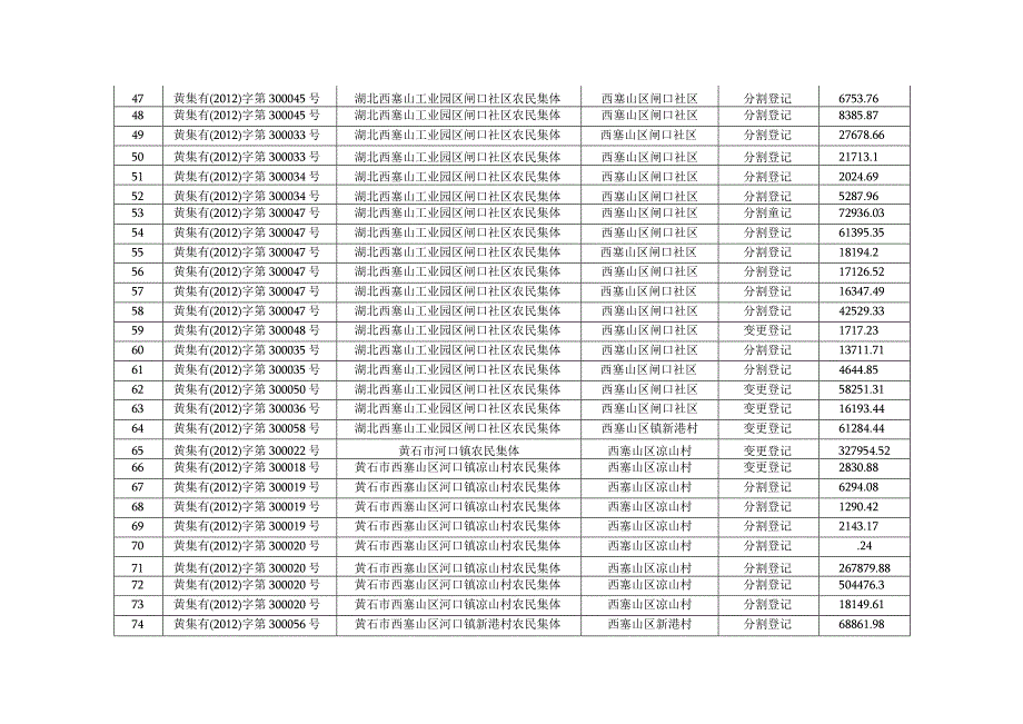 西塞山区集体土地所有权登记明细表.docx_第3页