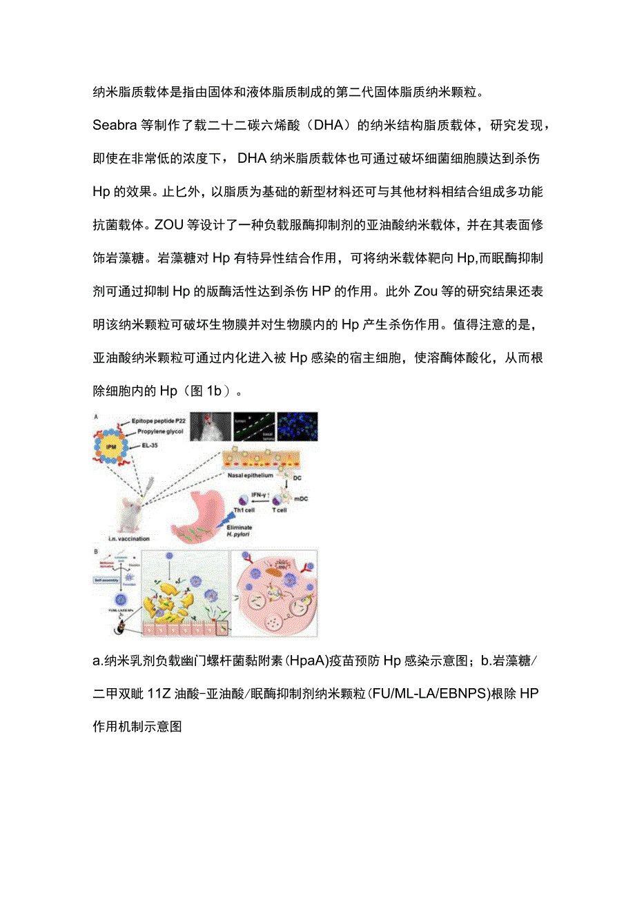 2023幽门螺杆菌感染治疗的新发展-新型材料的应用.docx_第3页