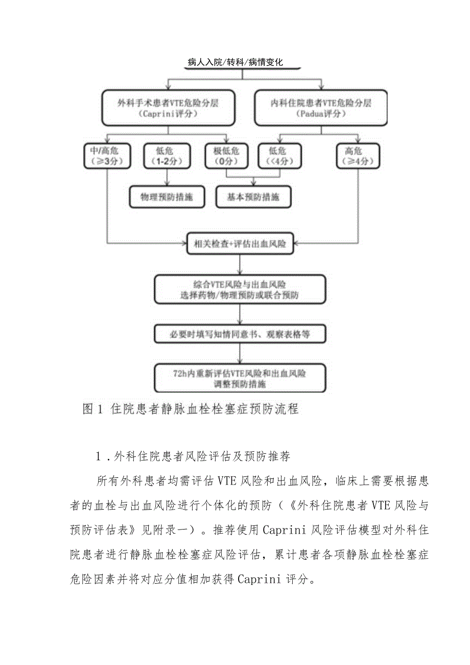 医院静脉血栓栓塞症（VTE）防治管理制度（红头文件）.docx_第3页