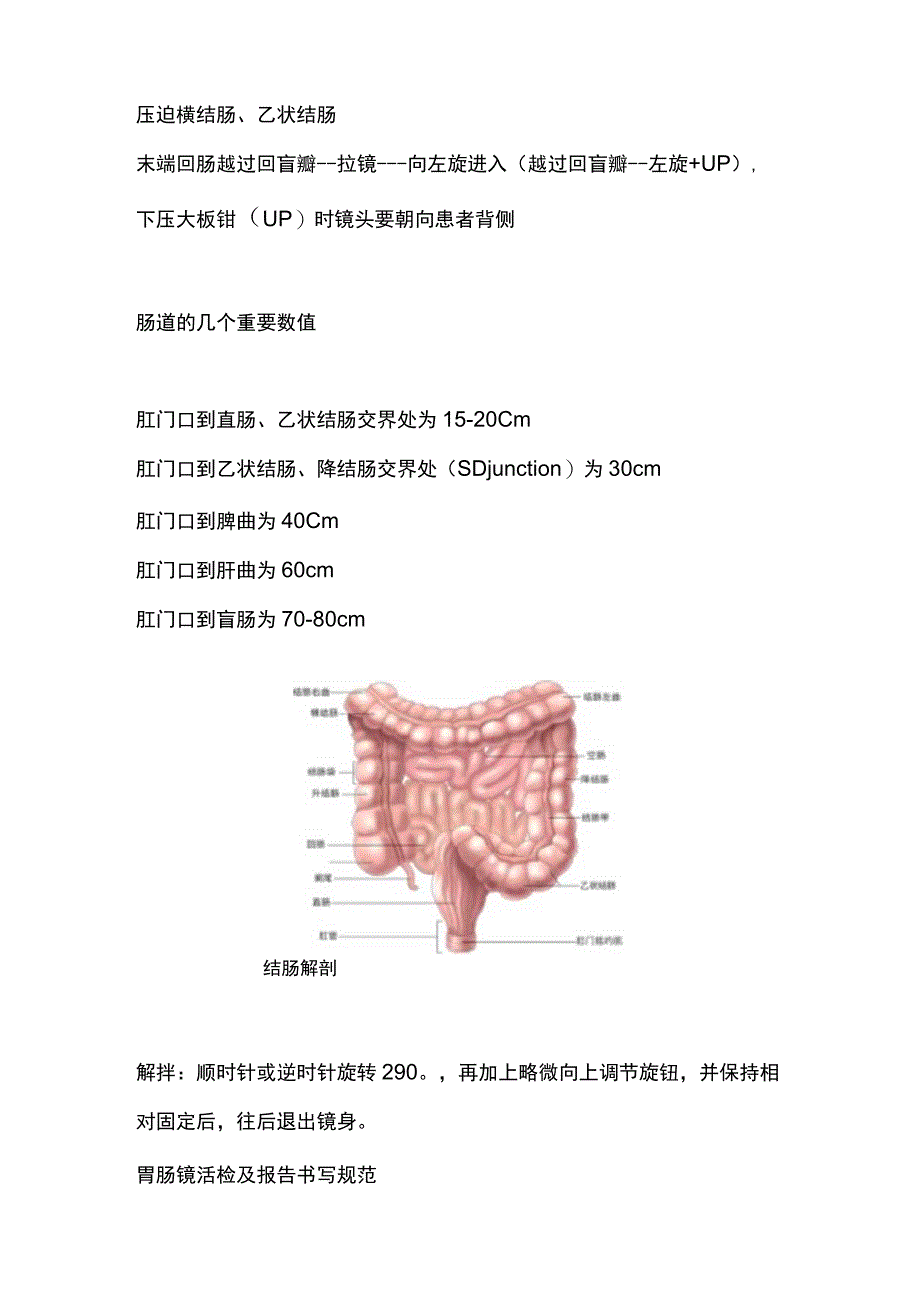 2023结肠镜篇：结肠镜操作技巧.docx_第3页