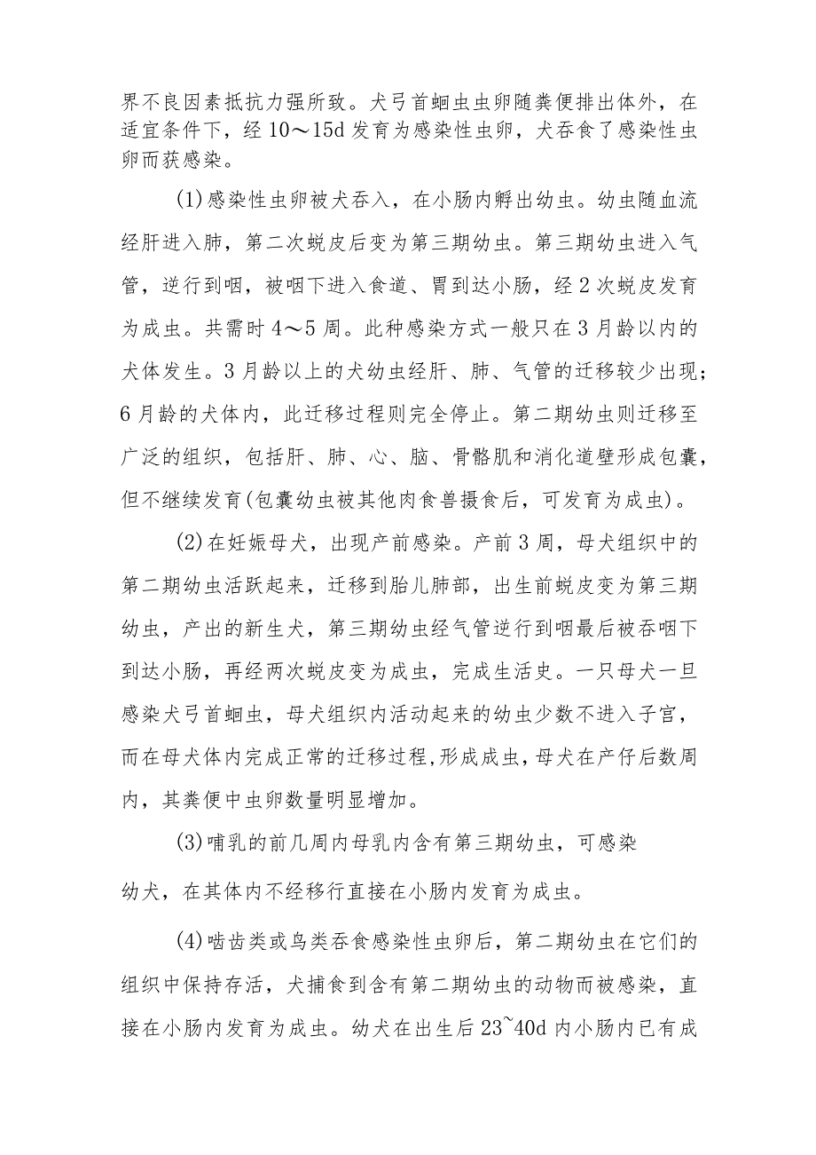 宠物人兽共患病犬弓首蛔虫病的诊治要点.docx_第2页