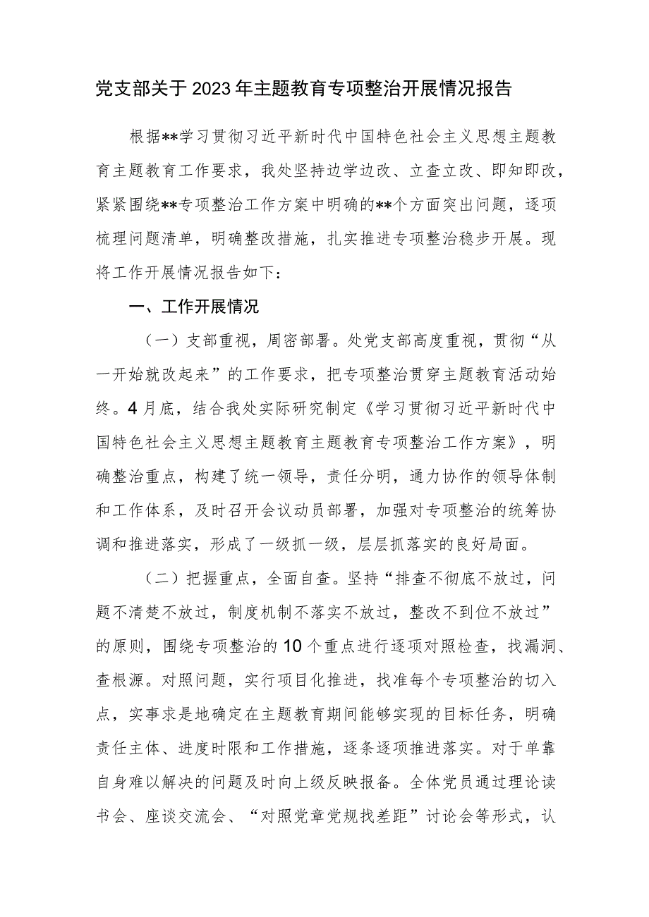 党支部关于2023年主题教育专项整治开展情况报告.docx_第1页