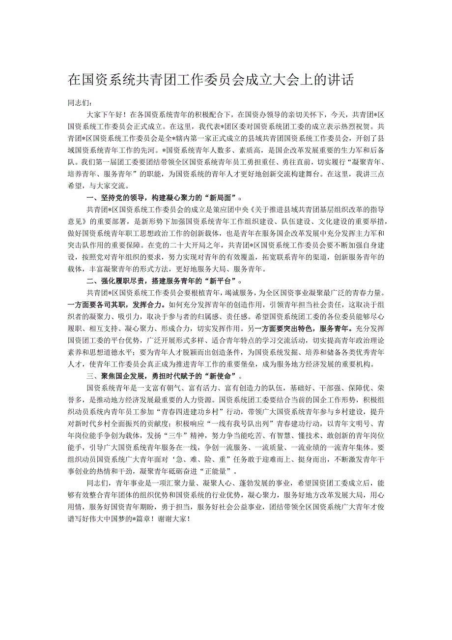 在国资系统共青团工作委员会成立大会上的讲话.docx_第1页