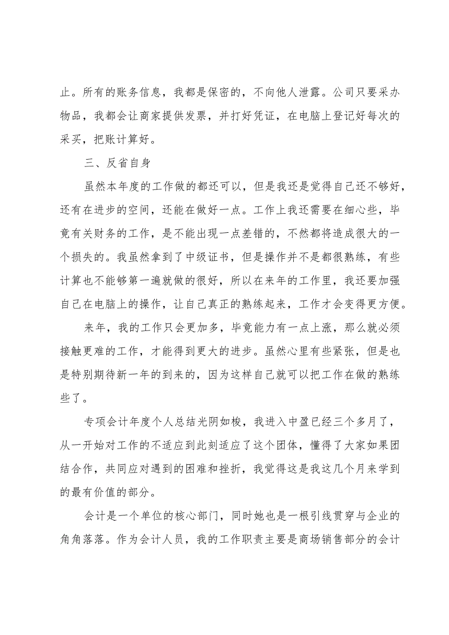 专项会计年度个人总结.docx_第2页