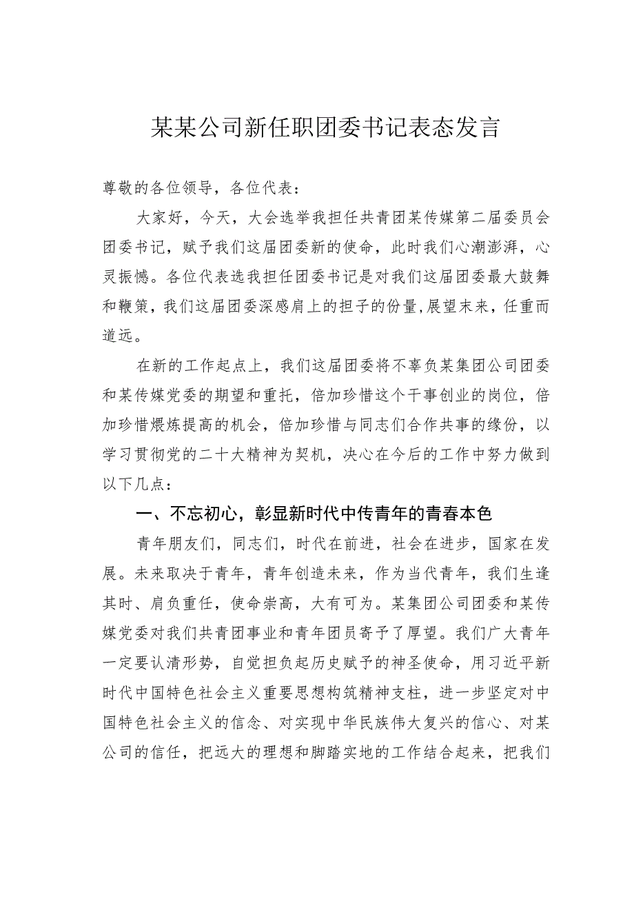 某某公司新任职团委书记表态发言.docx_第1页