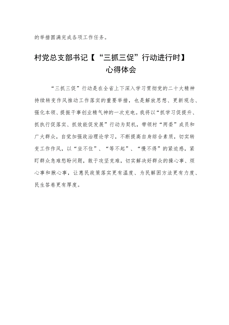 村党总支部书记【“三抓三促”行动进行时】心得体会(通用三篇).docx_第2页