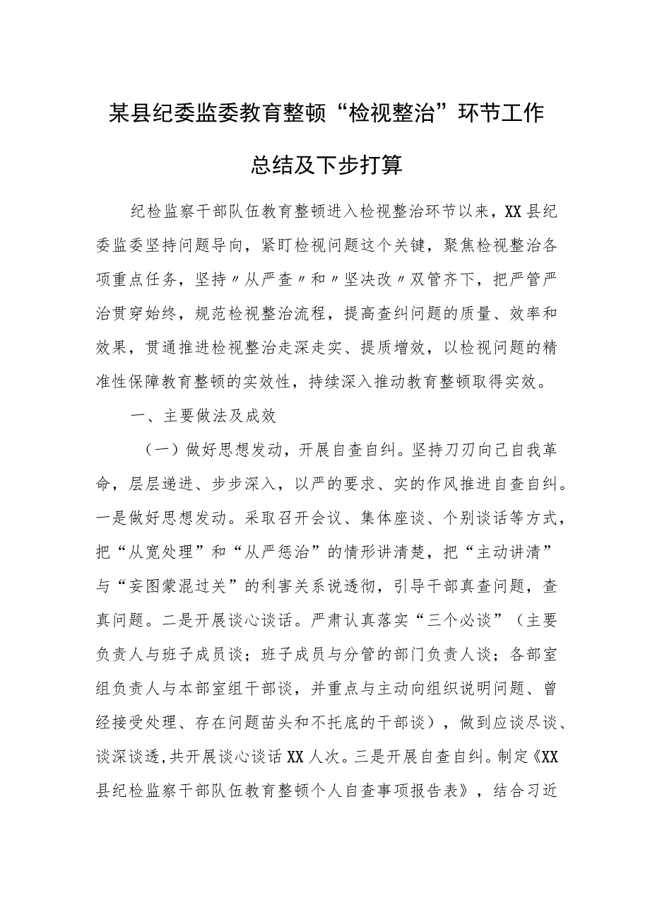 某县纪委监委教育整顿“检视整治”环节工作总结及下步打算.docx_第1页