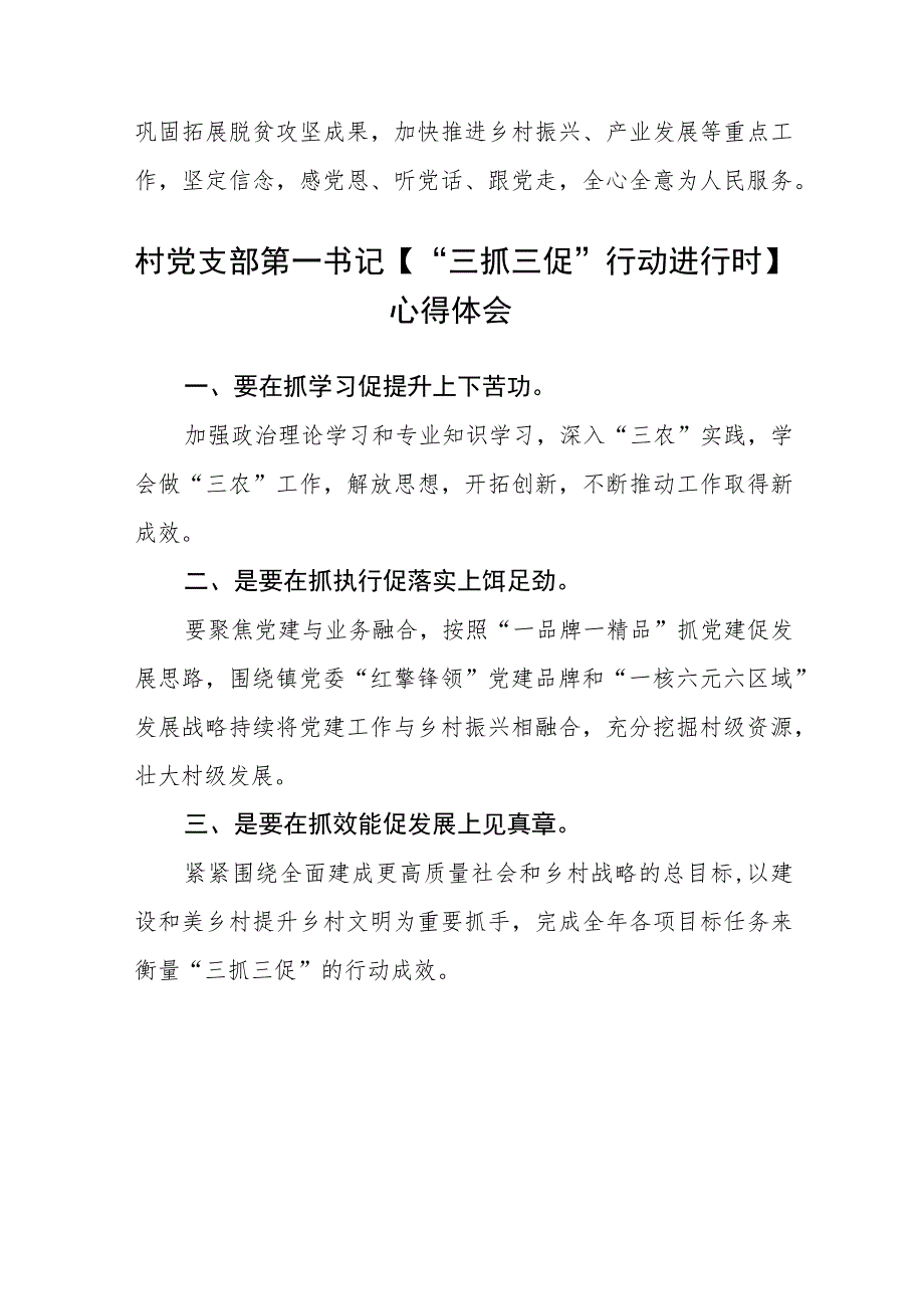 村党支部书记学习【“三抓三促”行动进行时】心得体会(通用三篇).docx_第2页