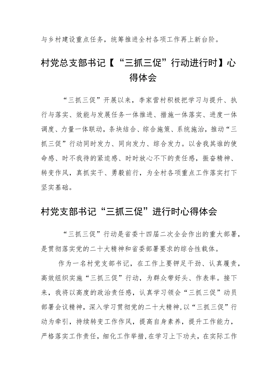 村党支部书记【“三抓三促”行动进行时】心得体会(通用三篇).docx_第2页