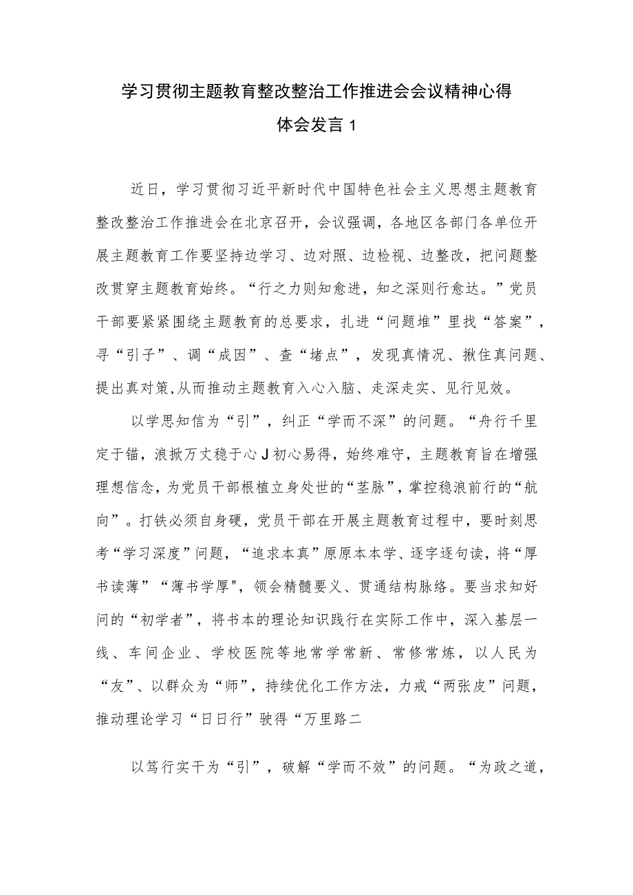 学习贯彻落实主题教育整改整治工作推进会精神心得体会研讨发言2篇.docx_第2页