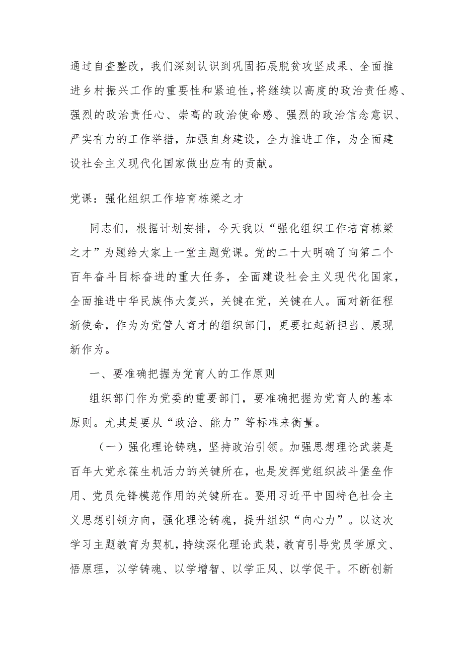 税务局乡村振兴自查整改落实情况报告.docx_第3页