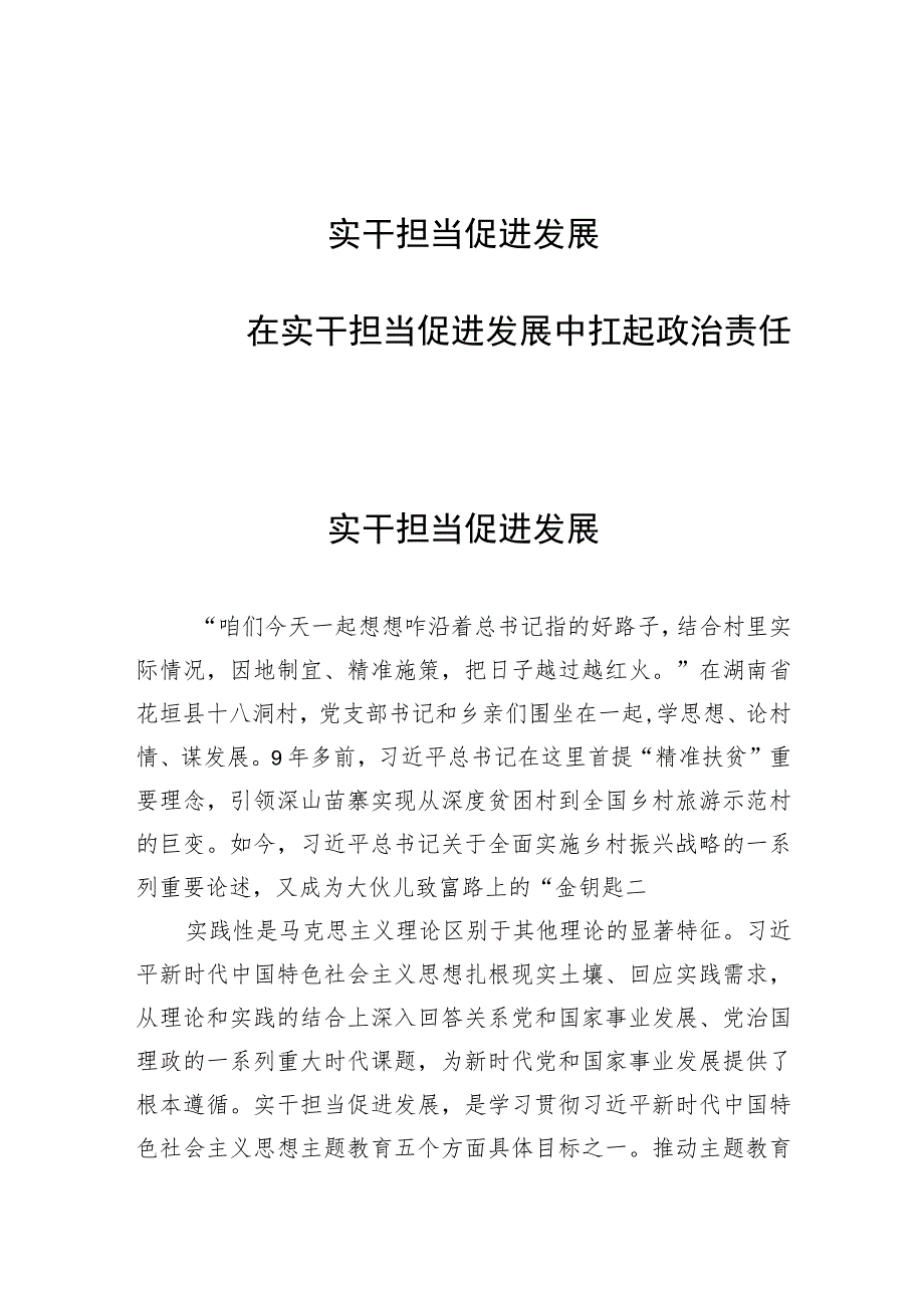 2023下半年主题教育“实干担当促进发展”专题学习心得体会感想研讨发言材料4篇.docx_第1页